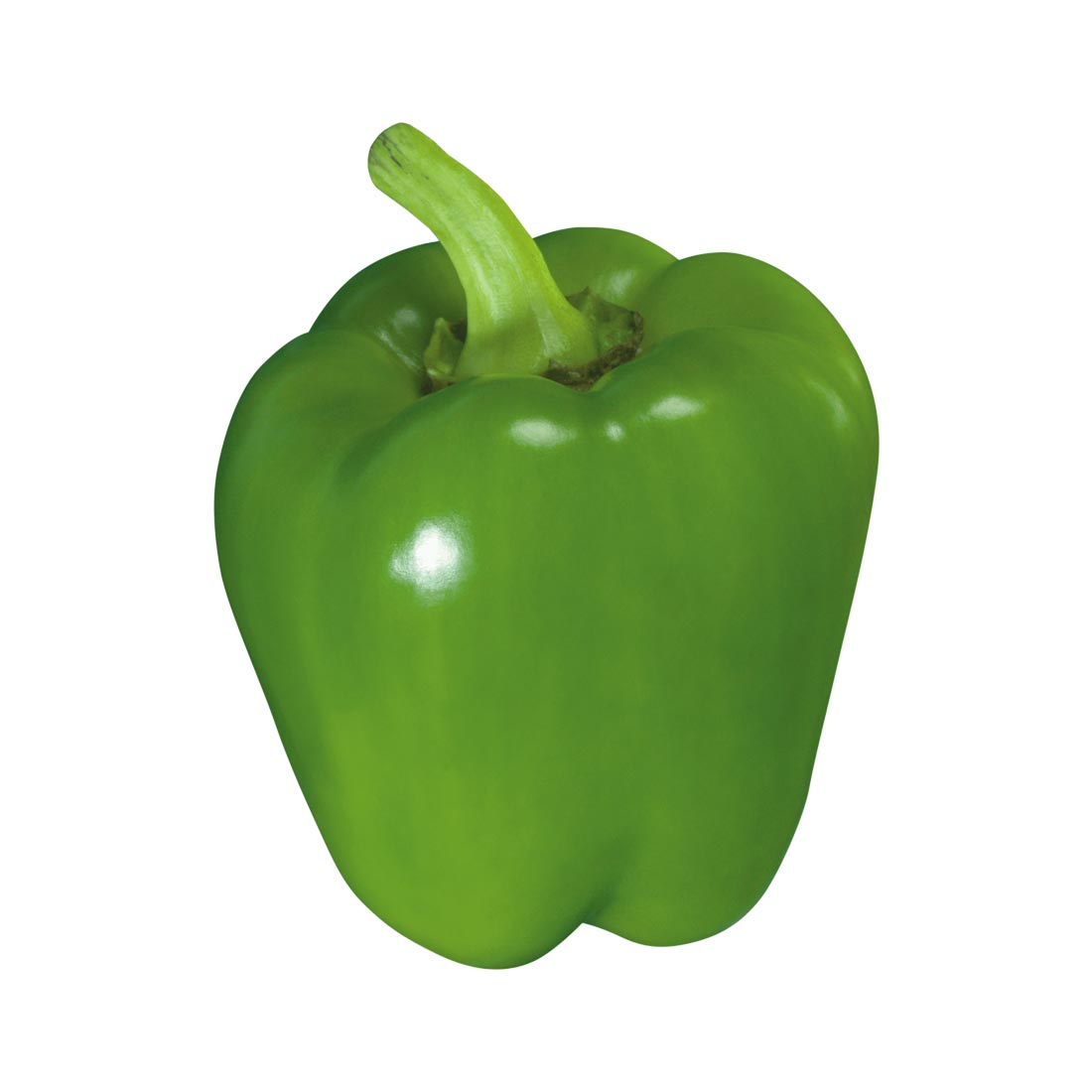 Capsicum Green (شملہ مرچ – سبز) – Sabzi Fruit Wala